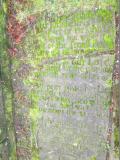 image of grave number 604421